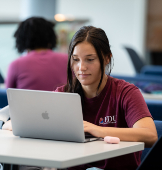 student works on laptop